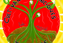 Convocatorias para laboratorios musicales en Suacha.