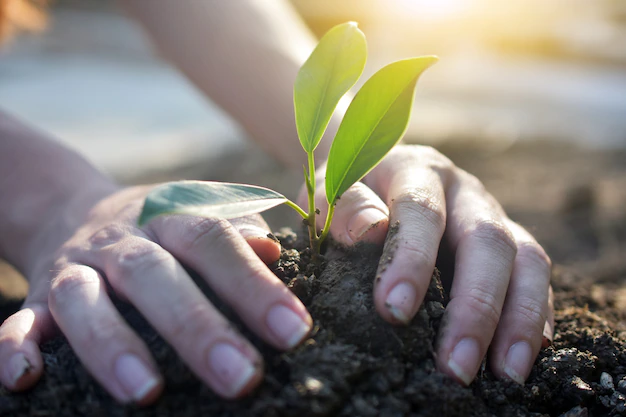 Jornada de embellecimiento ambiental en Compartir.