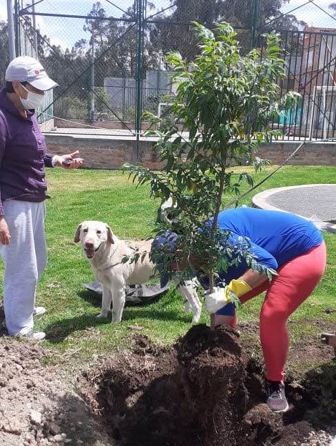 Continúan las jornadas de embellecimiento en parques de compartir.